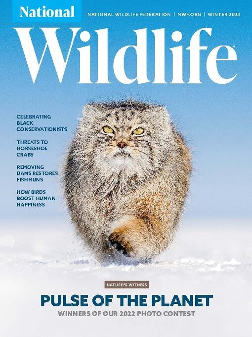 Title details for National Wildlife by National Wildlife Federation - Available